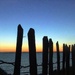 Sea fence 