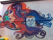 31st Jan 2025 - A woman of wisdom?