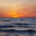 March Break Thursday Sunrise