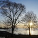 Bare bones Trees