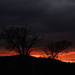 14 - Unexpected Sunset