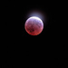 Partial Lunar Eclipse  by tosee
