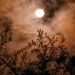 Cloudy Moon!