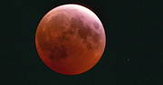 14th Mar 2025 - And This Was the Blood Moon at Almost Total Eclipse!