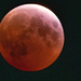 And This Was the Blood Moon at Almost Total Eclipse!