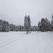 Still Winter 