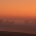 In the fog 