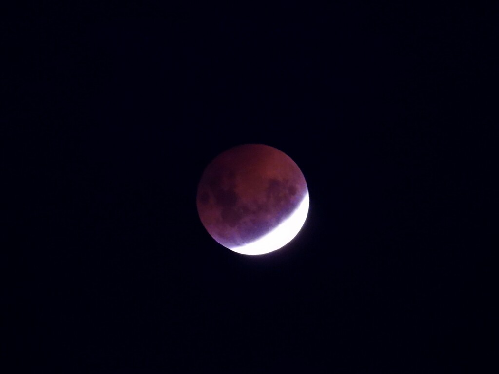 Red Moon by maggiemae