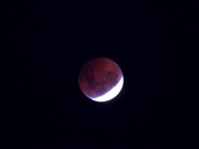 14th Mar 2025 - Red Moon
