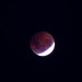Red Moon