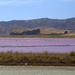 Salt lakes