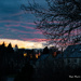 From  the window