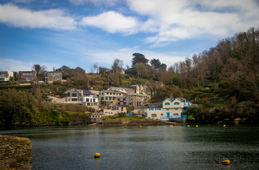 Boddinick by swillinbillyflynn