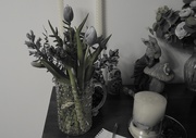14th Mar 2025 - Selective Colour