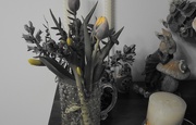 15th Mar 2025 - Selective Colour 2