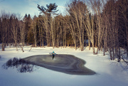 15th Mar 2025 - Canadian Winter Fun