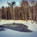 Canadian Winter Fun
