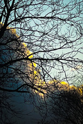 15th Mar 2025 - 