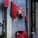 Reds Rule by cocokinetic