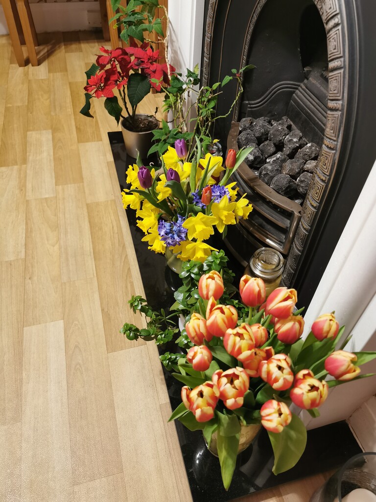 Blooming hearth  by plainjaneandnononsense