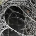 Raindrops on cobwebs 