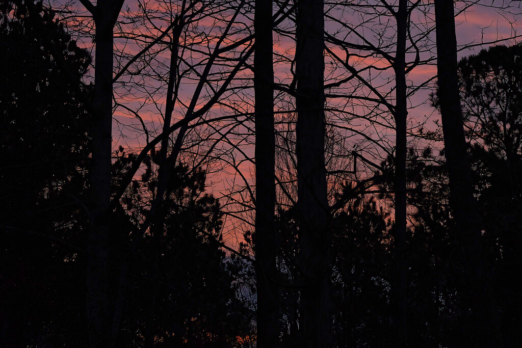 Sunrise 3/15/2025 by k9photo
