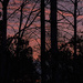 Sunrise 3/15/2025