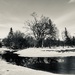 Spring Thaw