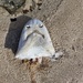 What caused such a sad face? 
