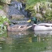 We Had Visitors This Morning
