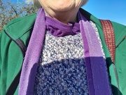 15th Mar 2025 - coincidental purple