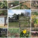 Early Days in the Garden