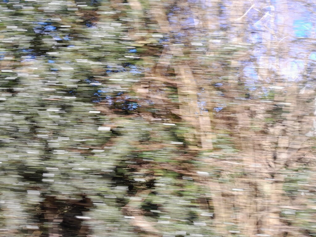 icm (in car movement!) by anniesue