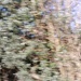 icm (in car movement!)