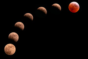15th Mar 2025 - Shots of the Lunar Eclipse!