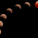 Shots of the Lunar Eclipse!
