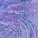 Purple 15