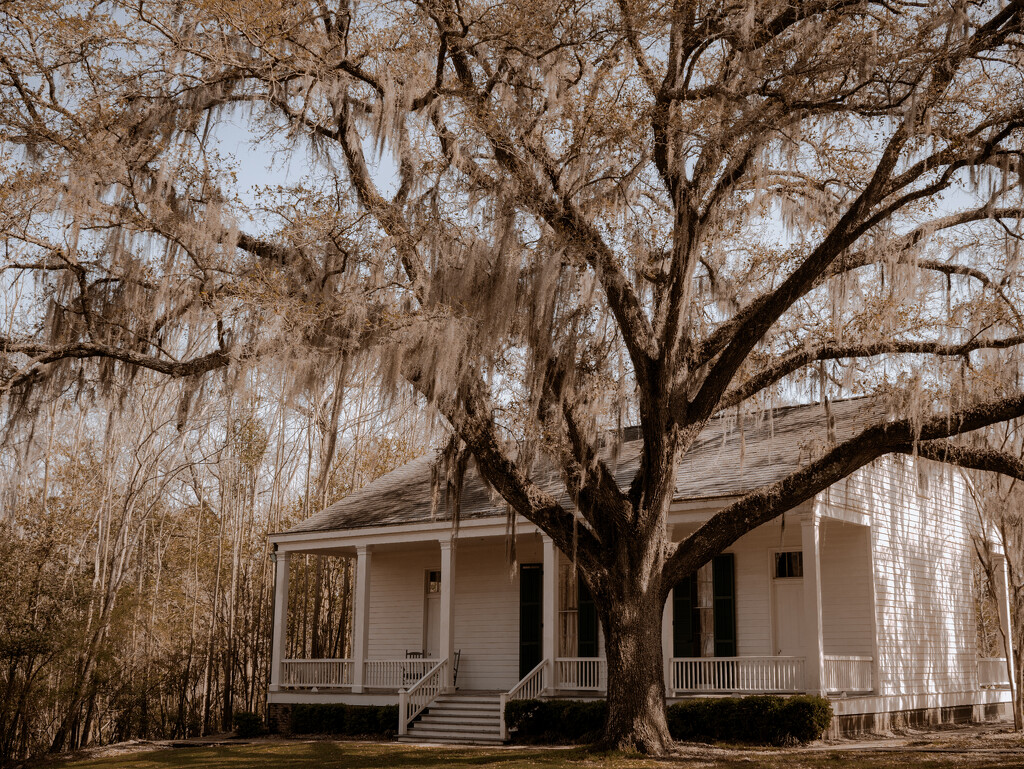 Overseer's house by eudora