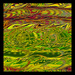 Abstract