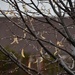 Raindrops...