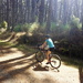 In the Forest