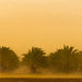 Dust Storm Edit