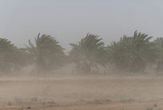 16th Mar 2025 - Dust Strom