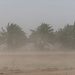 Dust Strom