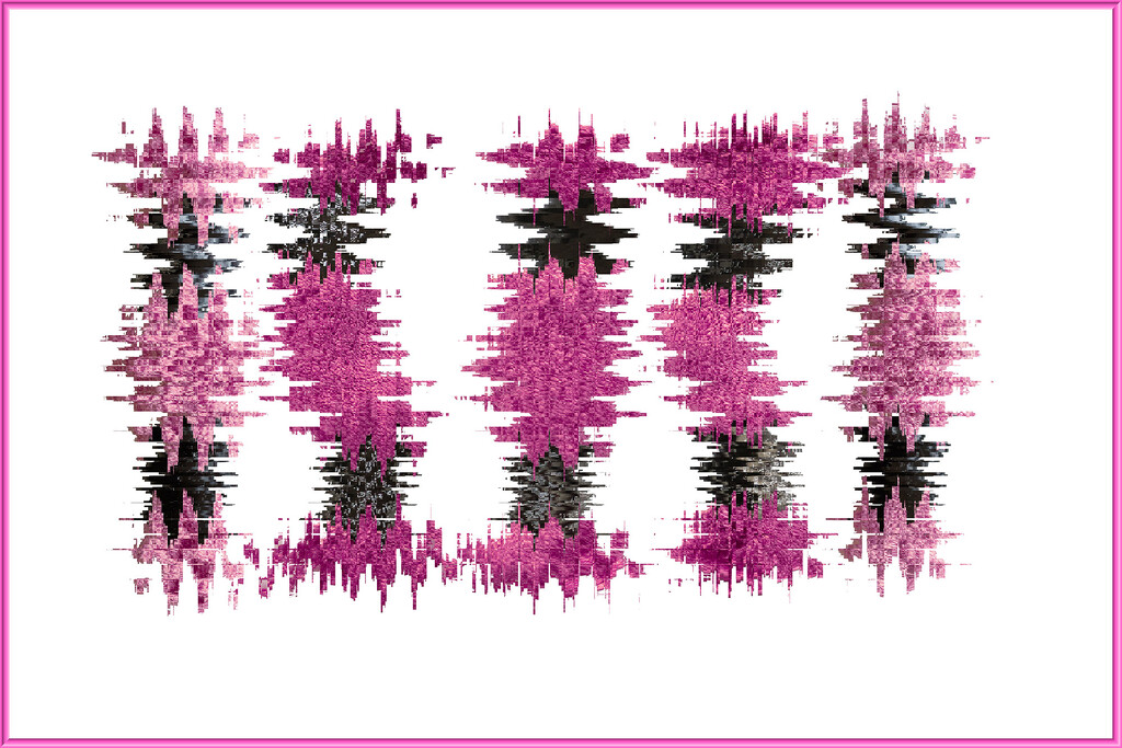 Pink 3 by k9photo