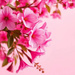 Rainbow 16 (pink)
