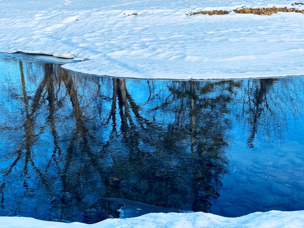 Reflection in River by ikik