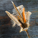 feathers