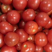 17th Mar 2025 - Red