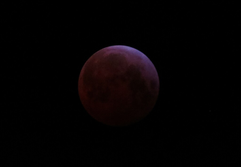Blood Moon Beginnings by olivetreeann
